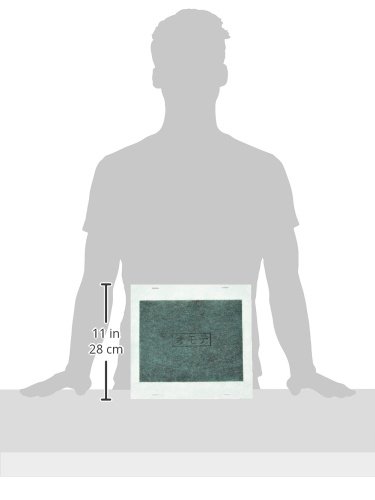 Amazon | 東芝 除湿機用脱臭フィルター RAD-F007 | 東芝(TOSHIBA